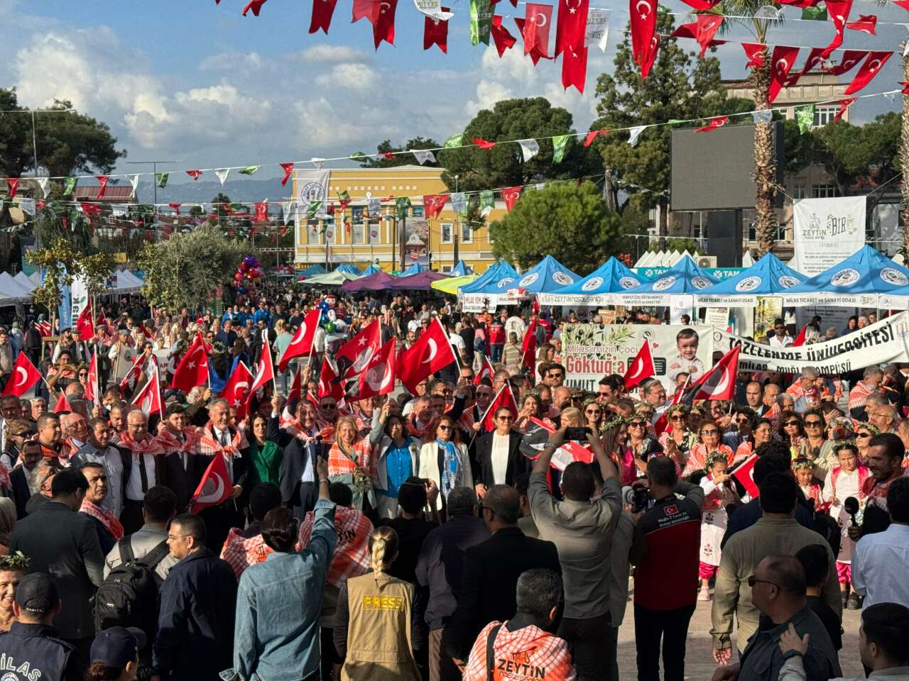 11. Milas Zeytin Hasat Şenliği Başladı 6